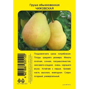 Груша Чижовская пакет h90 см 86544024 STLM-2169005