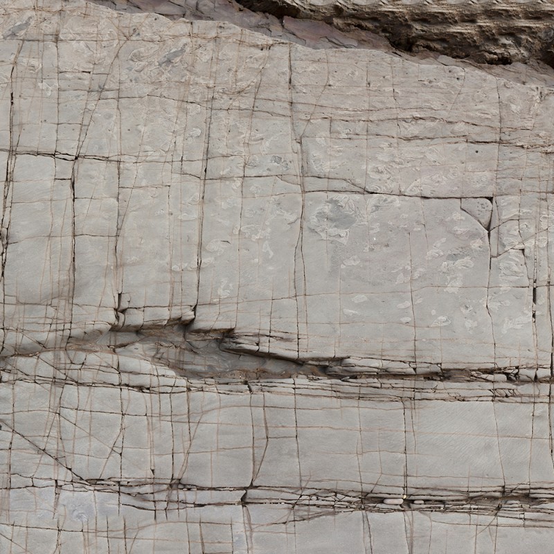 WP08145A Обои декоративные Adriani e Rossi 