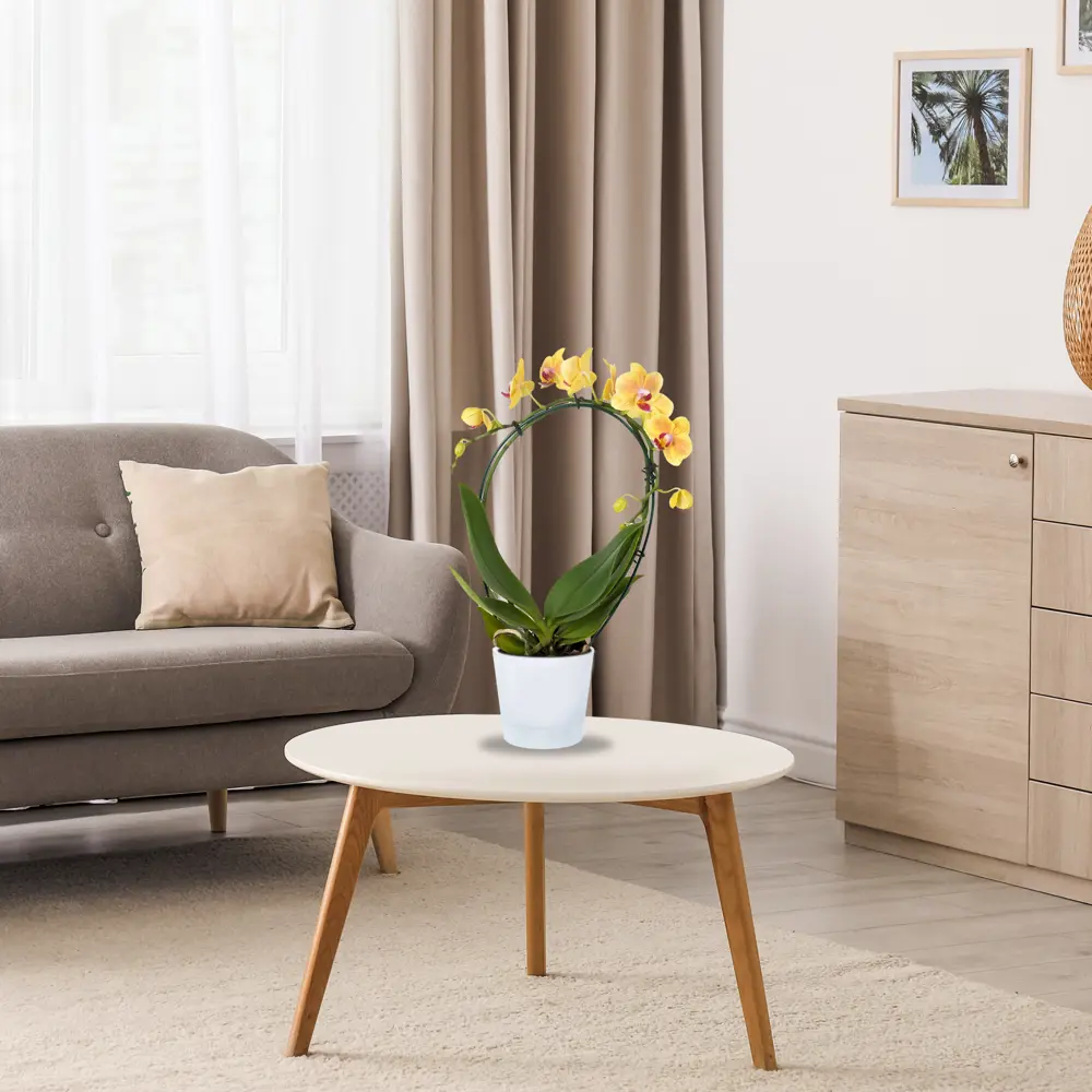 ТЕК.А.ТЕК Прозрачный горшок для орхидей с дренажной системой 2,8 л 18006232 Орхидея партер STLM-0009197 - Вид №1