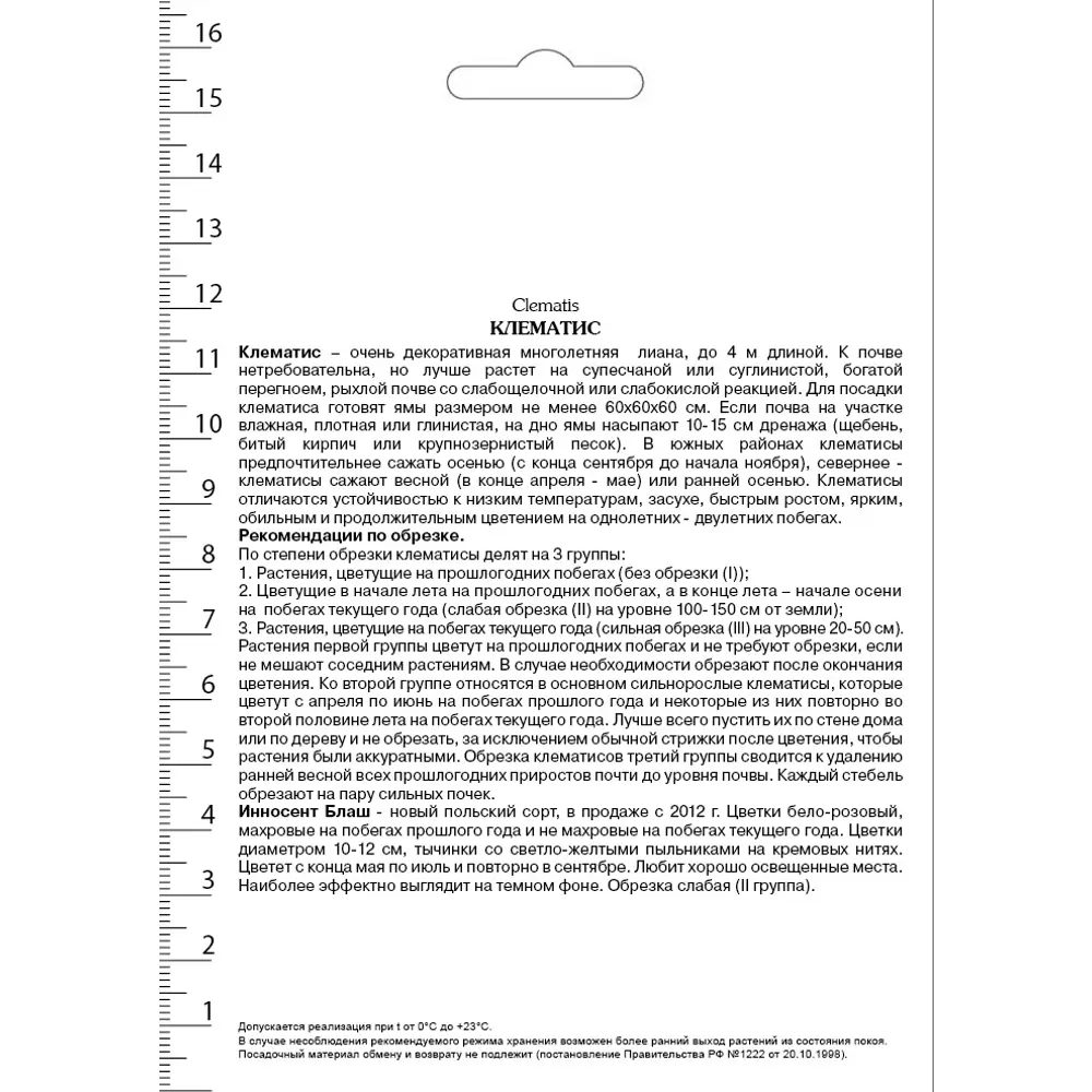 Клематис крупноцветковый Инносент Блаш в капере 82527439 STLM-2020579 Santreyd  - Вид №1
