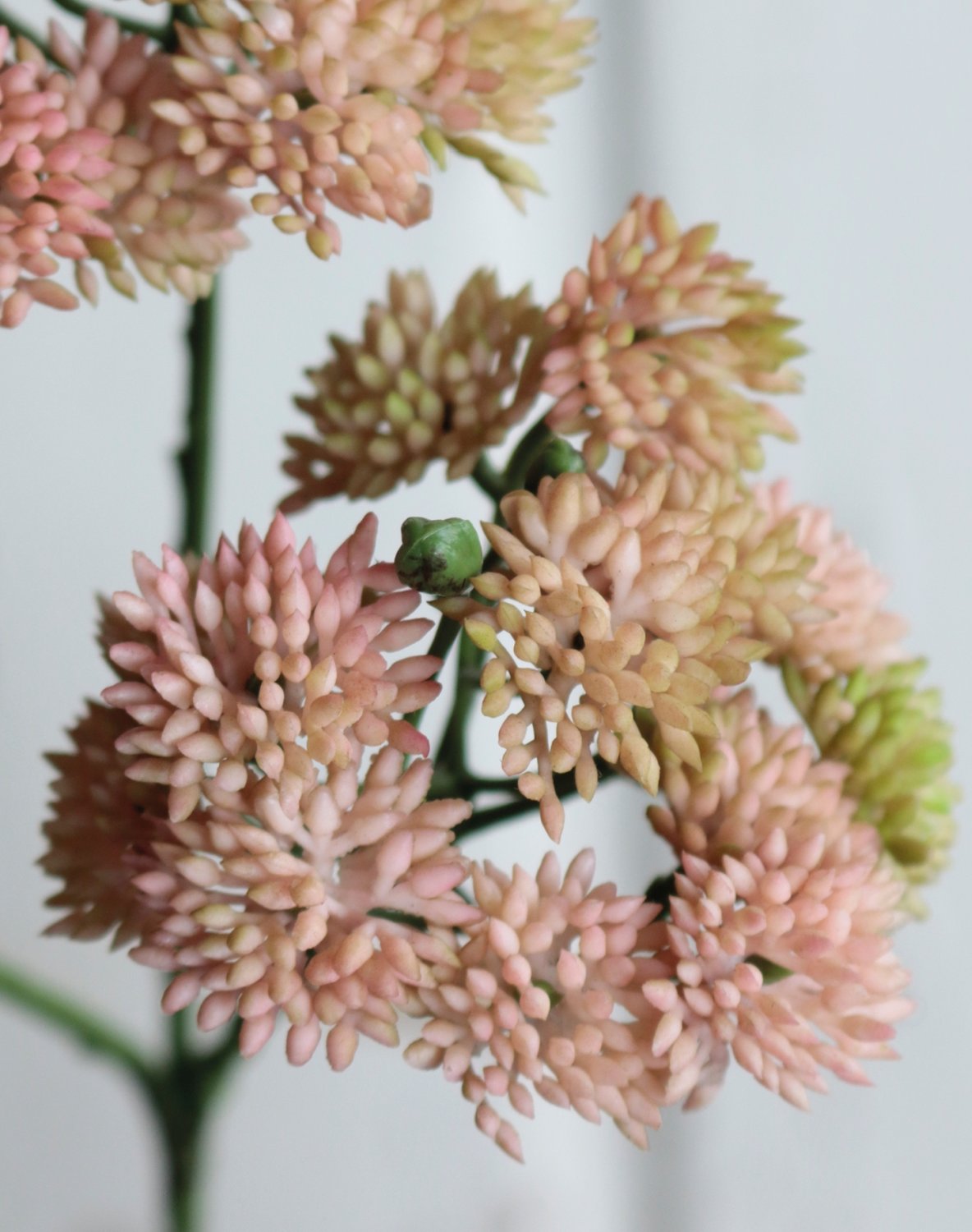 6699 753 a3 Ветка очитка искусственная, 32 см, бежево-абрикосовая H-andreas  - Вид №4