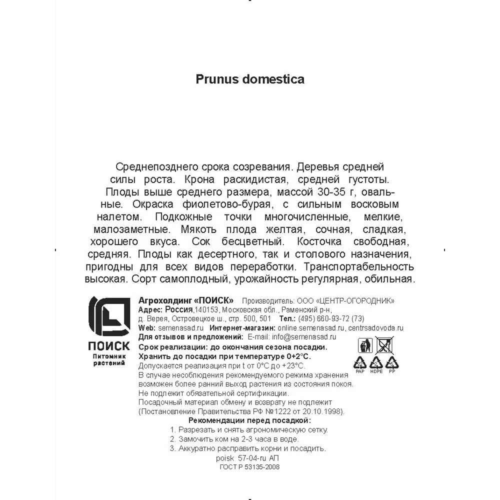 Слива Венгерка Корнеевская h200 см в сетке Поиск Инвест 84399328 STLM-2047674 Santreyd  - Вид №2