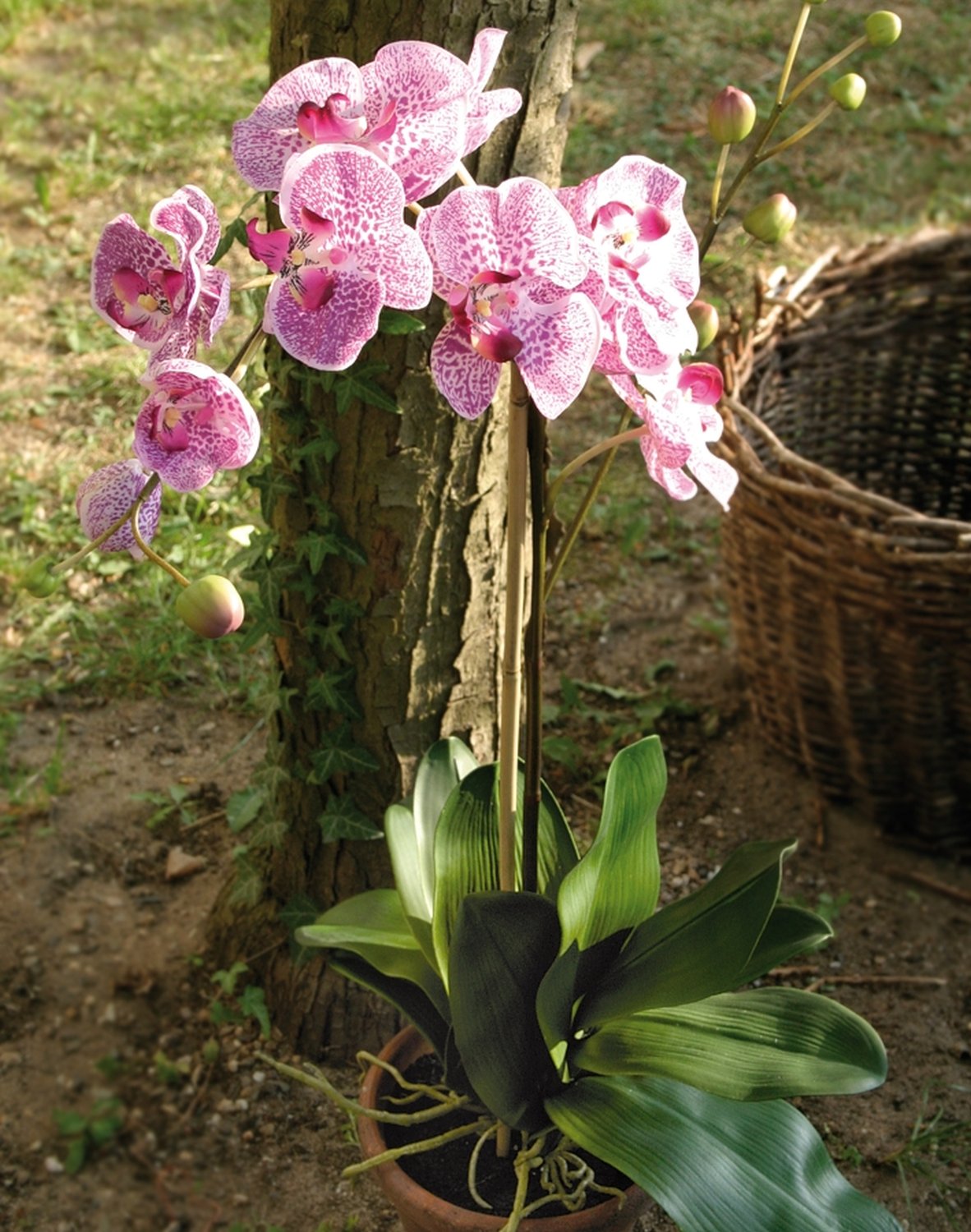 2832 227 a3 Искусственная орхидея Phalaenopsis, горшечная, 100 см, real touch, светло-фиолетовый-темно-фиолетовый H-andreas  - Вид №1