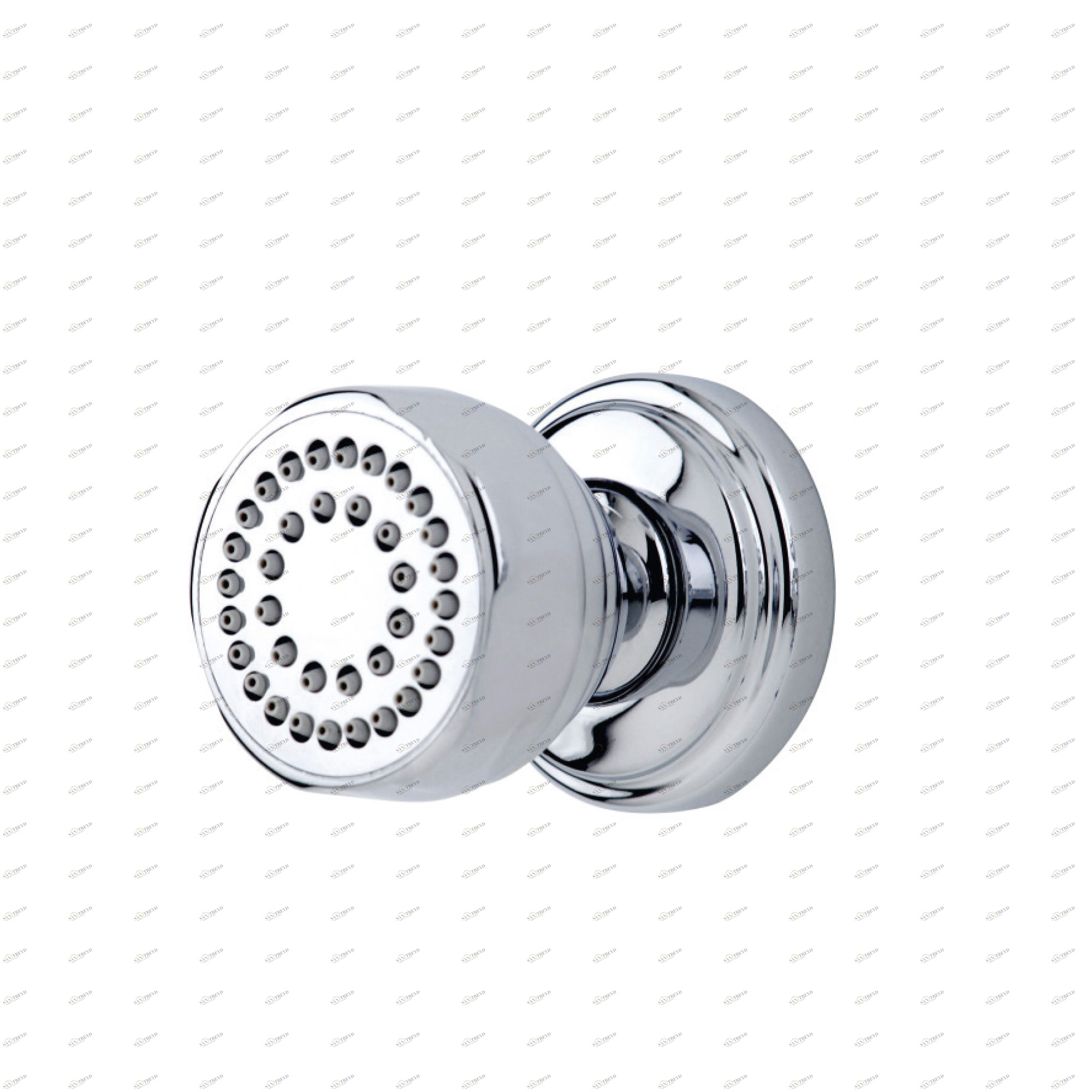 Traditional bathrooms Душ для тела Pr5570.bn 