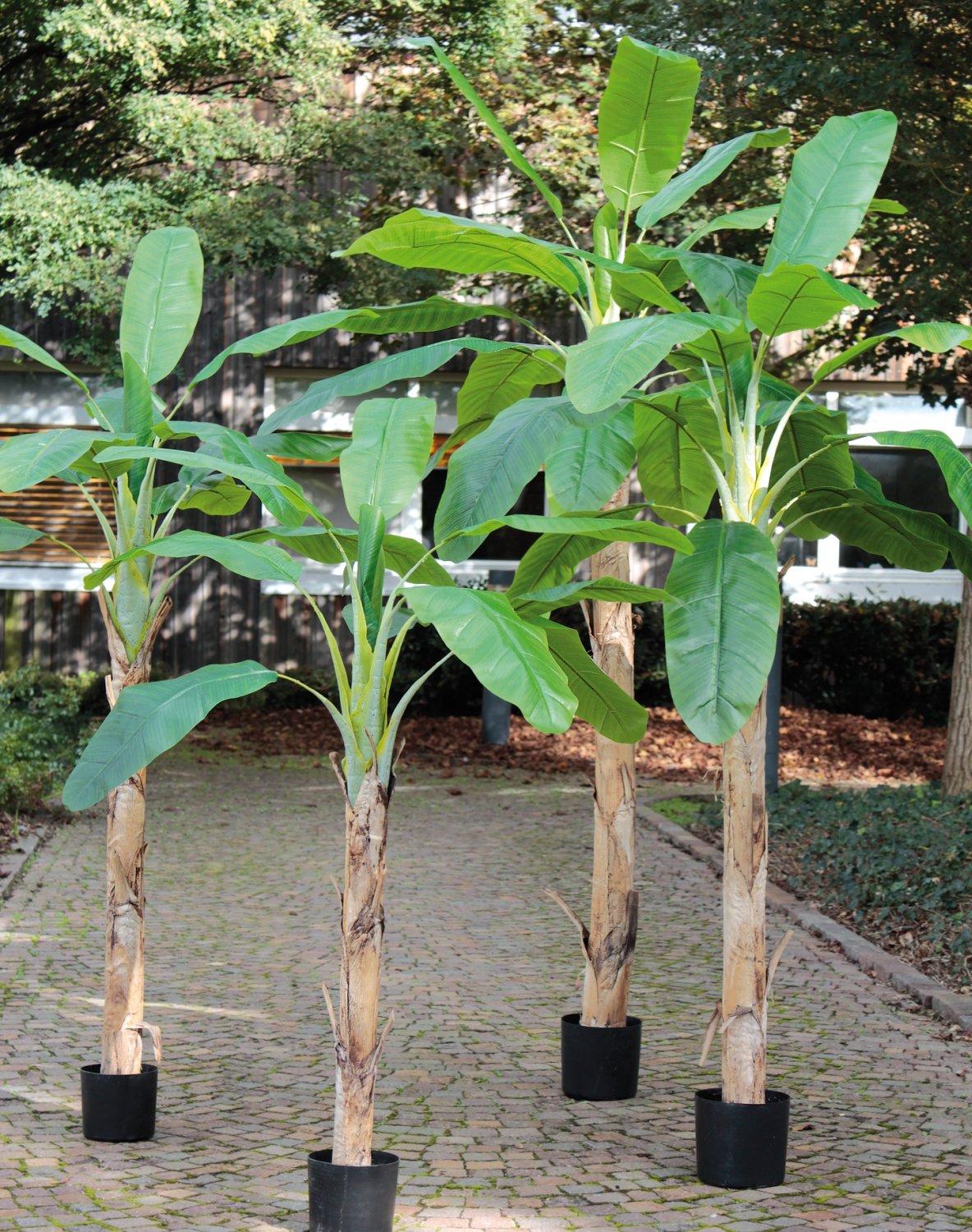 5783 883 a3 Банановое дерево, шелк, в горшке, 300 см, зеленое H-andreas  - Вид №2