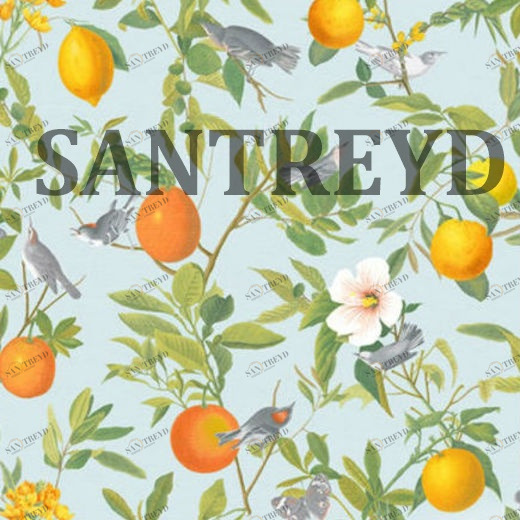 105640 Обои Graham&Brown Curiosity