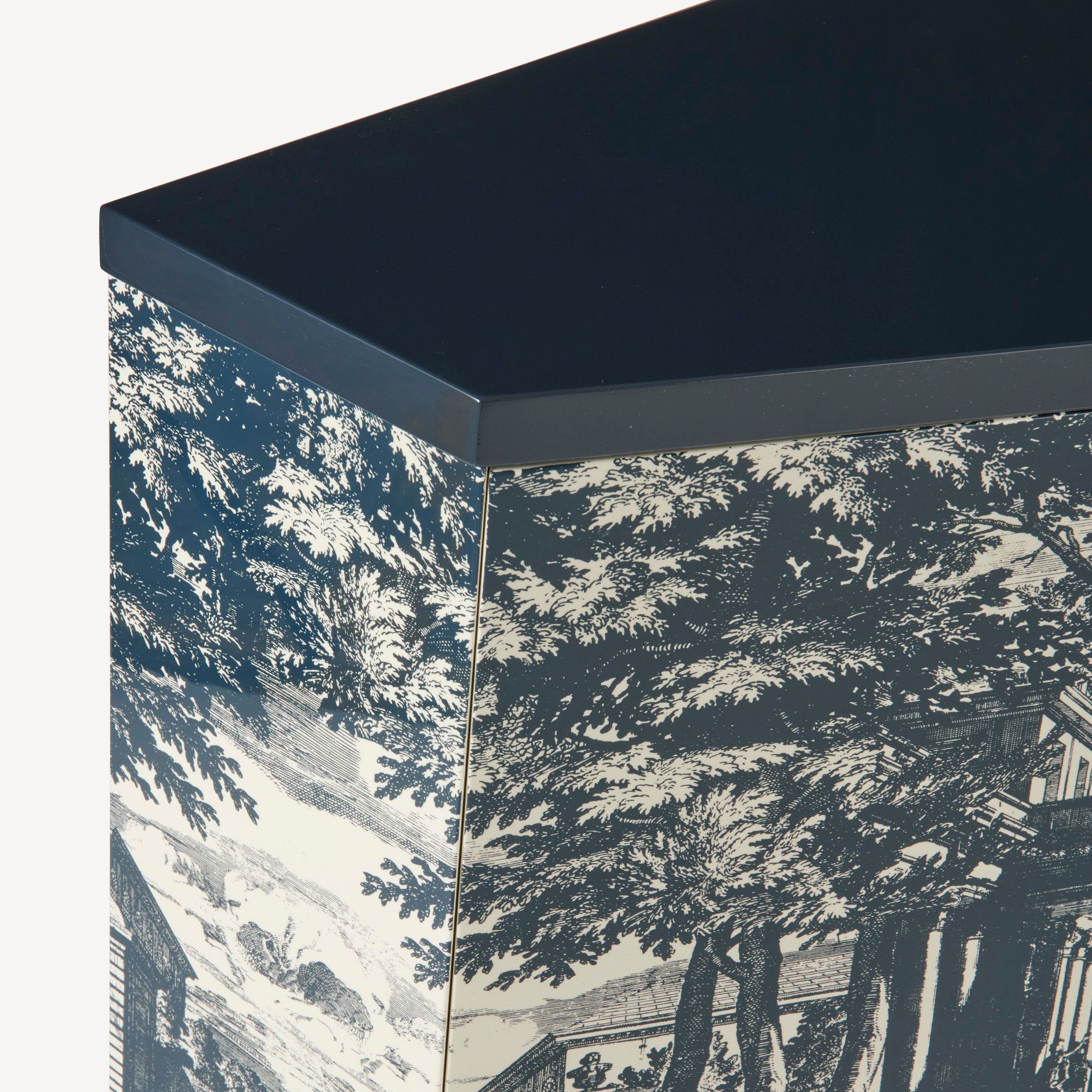 Маленький шкаф Fornasetti Giardino Settecentesco ARCH-00062127 - Вид №3