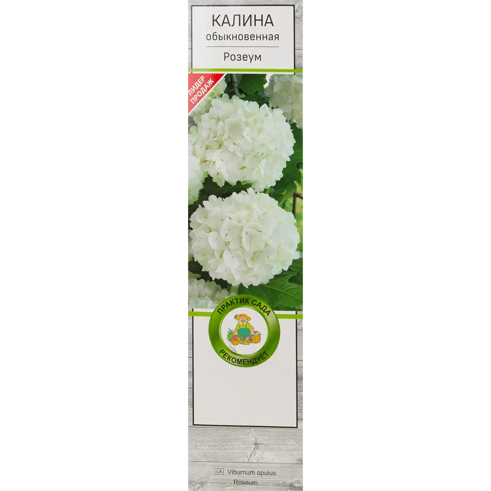 Калина Розеум в тубе Поиск Инвест 82150741 STLM-2102227 Santreyd 