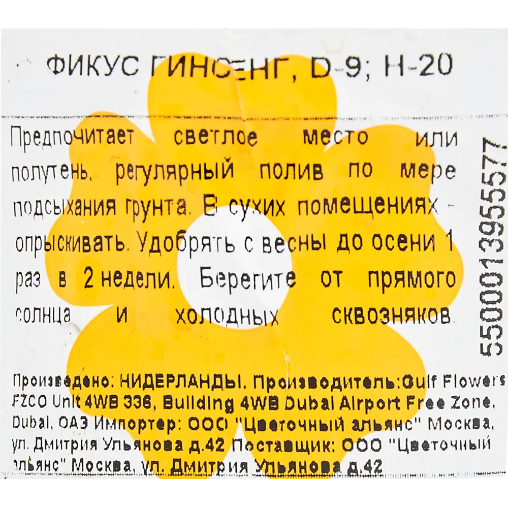 Фикус "Гинсенг" 9x20 см 82850356 STLM-2145346 Santreyd  - Вид №2