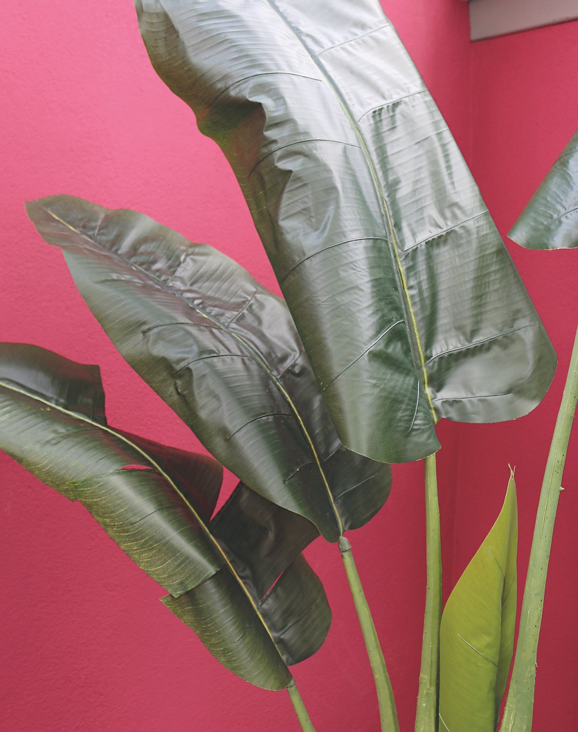 5894 883 a3 Хеликония искусственная, в горшке, 210 см, зеленая H-andreas  - Вид №2