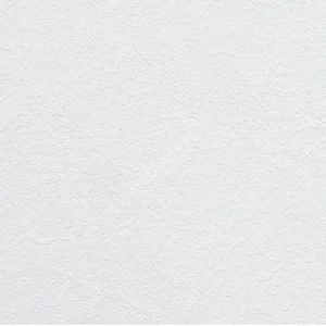 2488-17 Обои A.S. Creation Antivandal