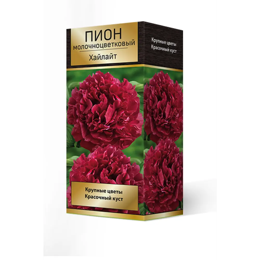 Пион молочноцветковый травянистый «Хайлайт» разбор 2-3 82661862 STLM-2032309 Santreyd 