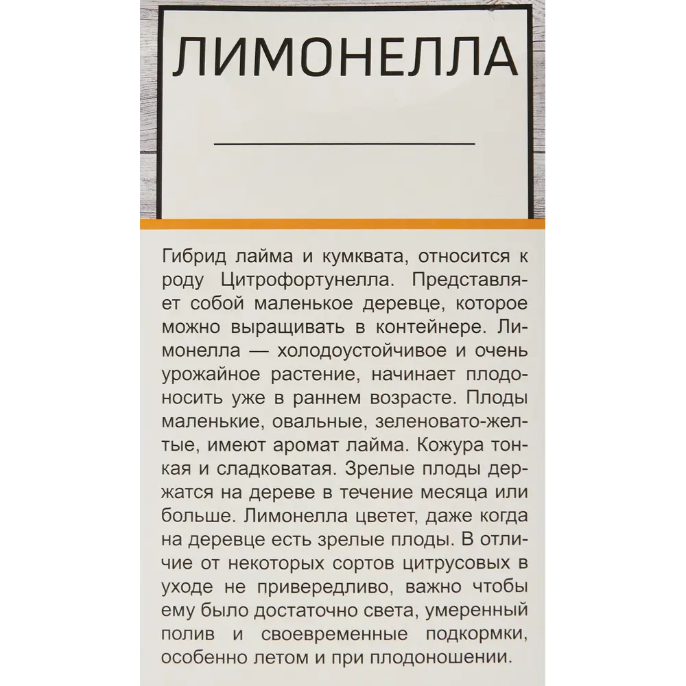 Цитрус Лимонелла h40 см 86543937 STLM-2018251 Santreyd  - Вид №2