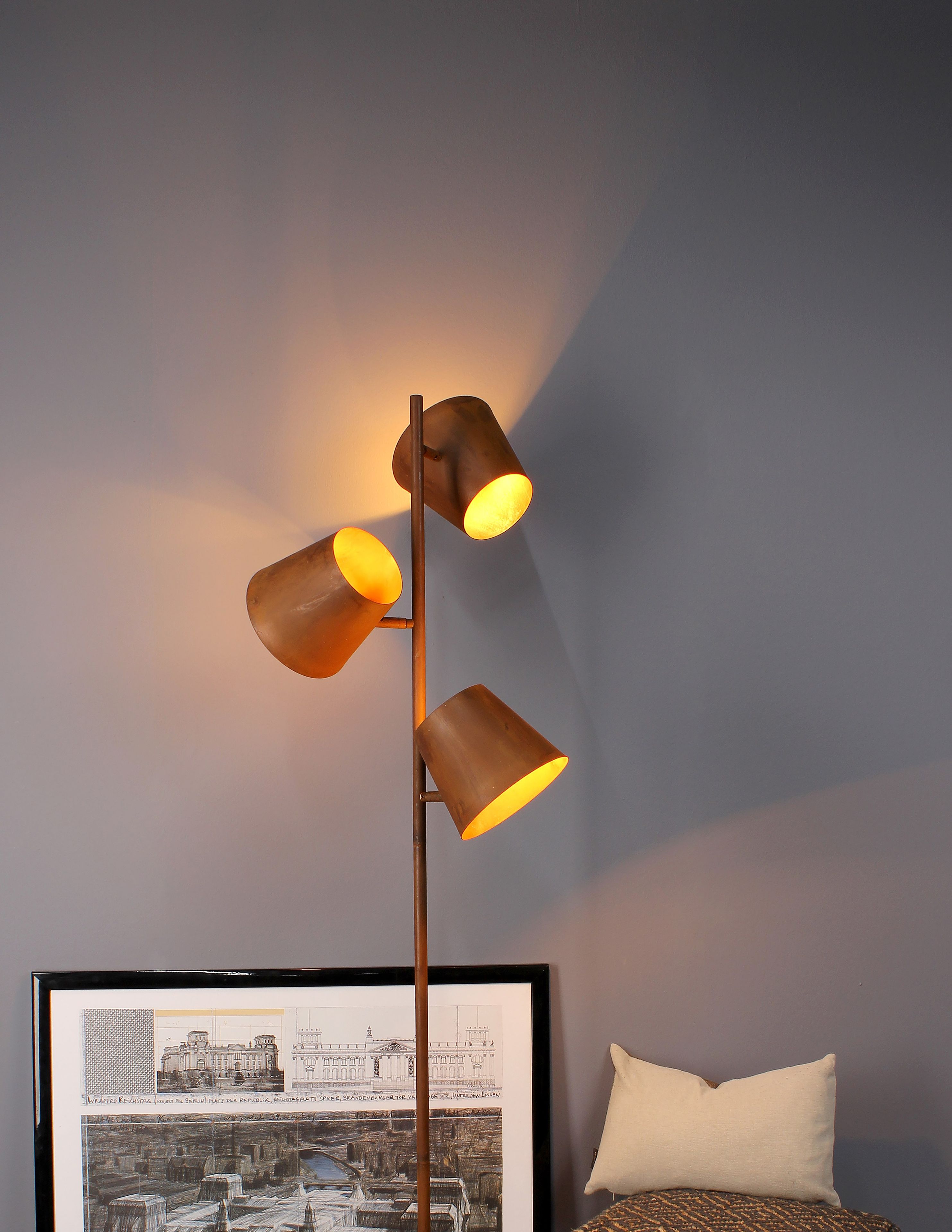 Регулируемая металлическая напольная лампа Fan Europe Lighting окружающий свет дизайн ARCH-00074908 - Вид №3