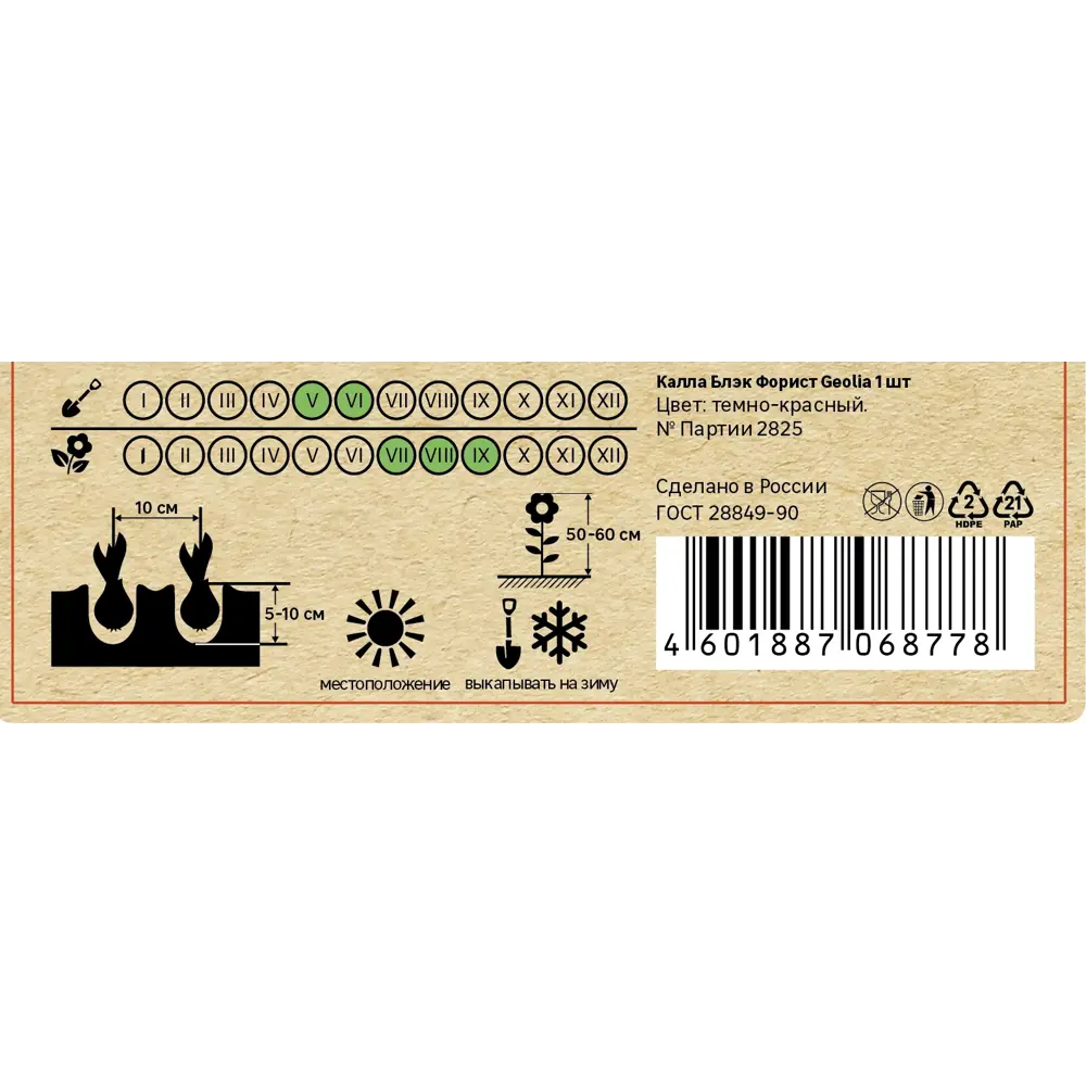 Калла Geolia Блэк Форист STLM-2125609 - Вид №4