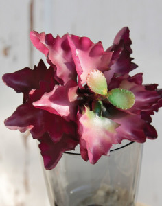 6486 849 a3 Сочные искусственные растения на палочке, 12 см, Ø 12 см, зелено-бордового цвета H-andreas