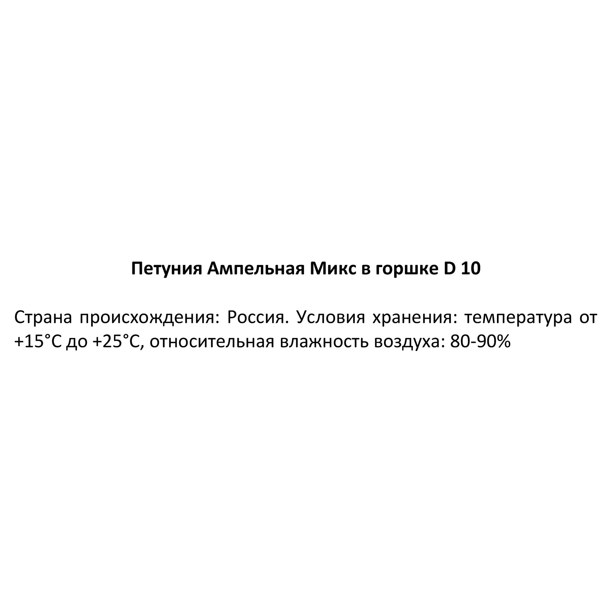 Ампельная петуния Santreyd - разноцветный каскад для кашпо и вазонов 84299080 STLM-0048154 - Вид №3