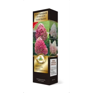 Гортензия метельчатая Пинки промис h37 см 83786925 STLM-2068767