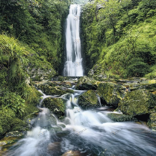 SH015-VD2-Glenevin-Falls Фотообои Komar Stefan Hefele 2.5х2 м SH015VD2GLENEVINFALLS