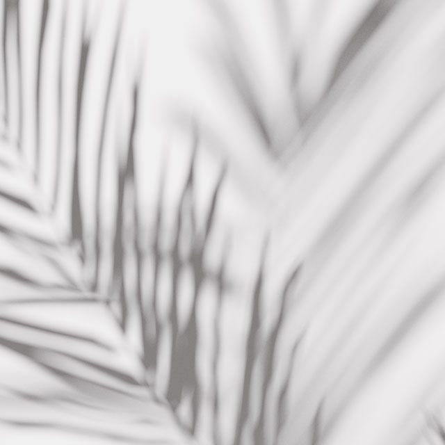 Стеновые панели - Нидл LIGRON LIST86 2188