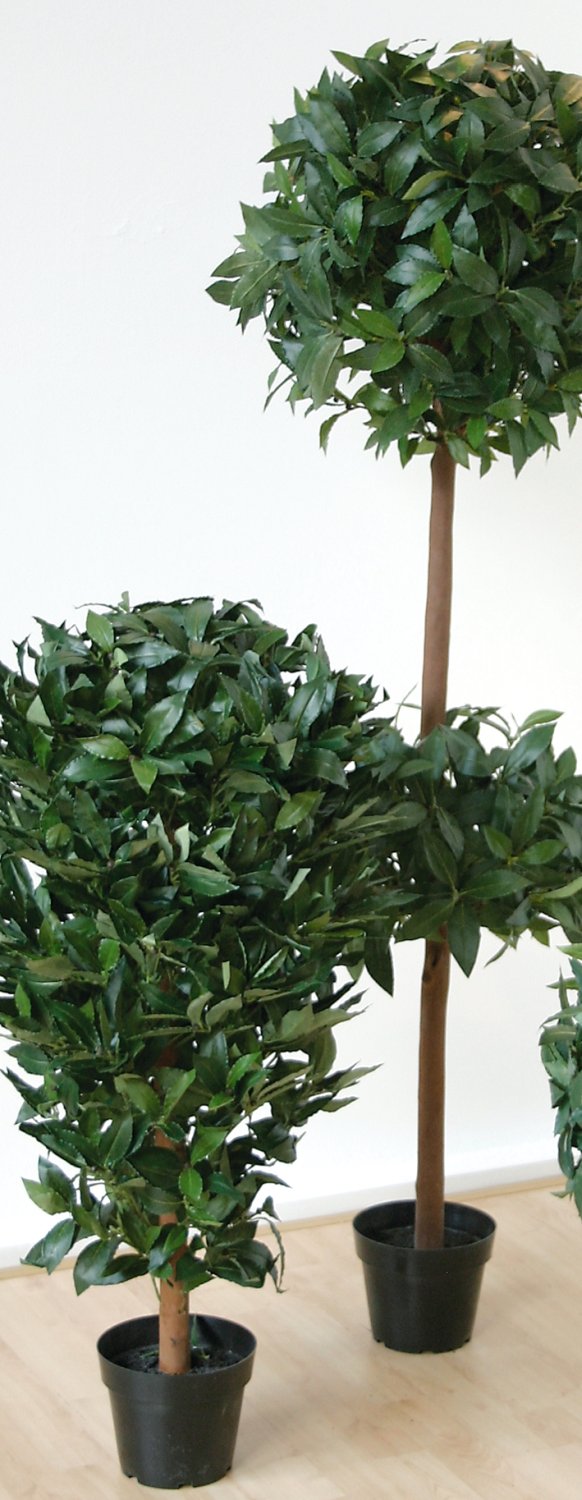 5009 883 a3 Искусственный лавровый шар, горшок, 170 см, зеленый H-andreas 