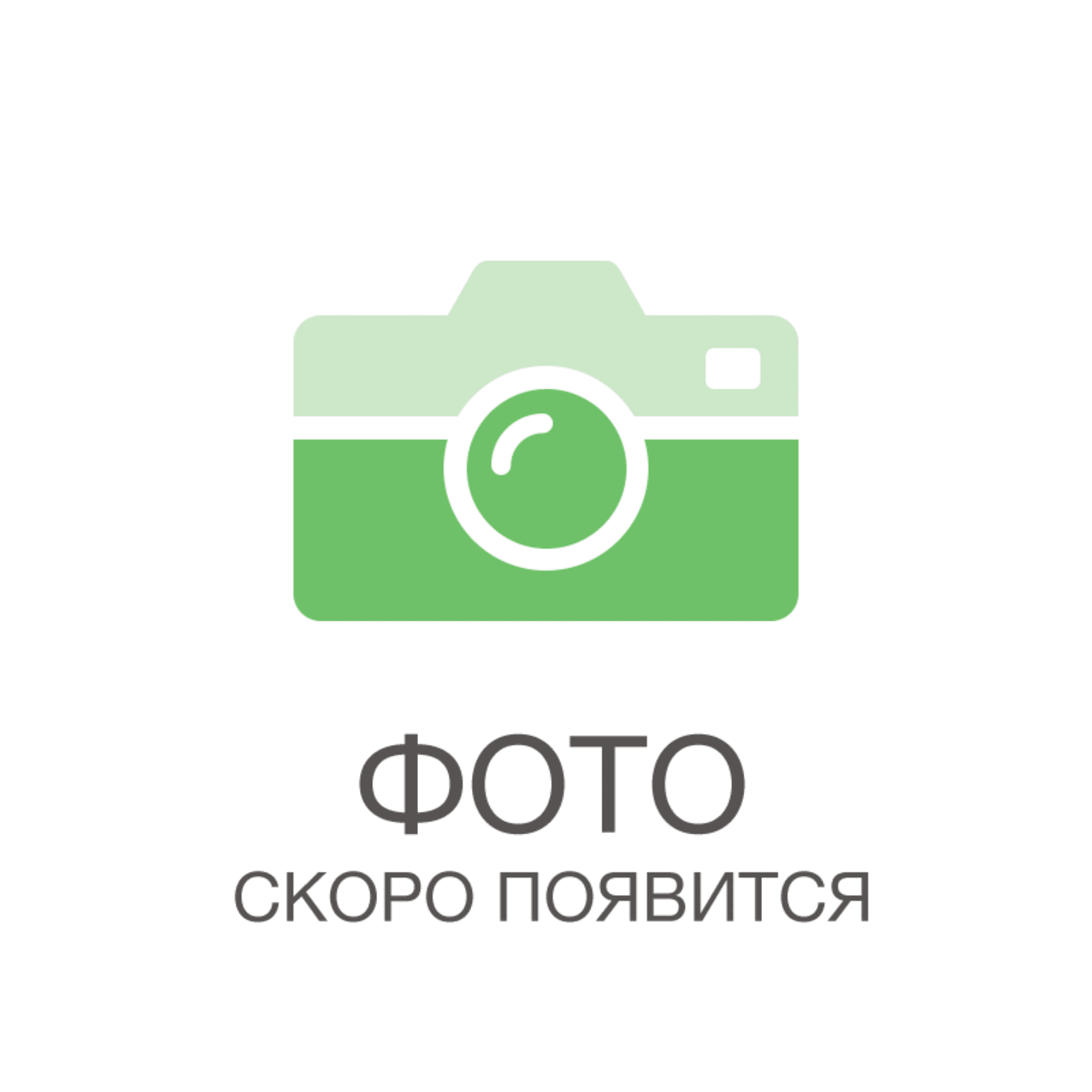 84872853 Роза чайно-гибридная Муви Стар h40 см Santreyd 