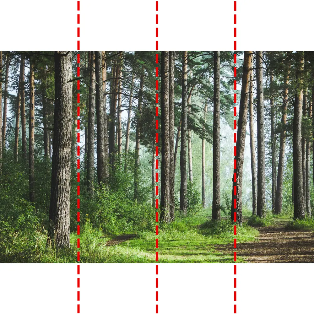 Фотообои Лес флизелиновые 400x270 см 10386-Л МОСКОВСКАЯ ОБОЙНАЯ ФАБРИКА Malex factory STLM-2146449 - Вид №2