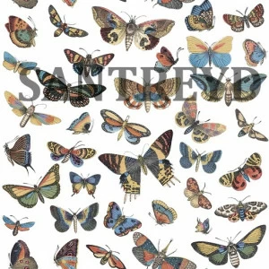 573010 Обои Ugepa Horizons