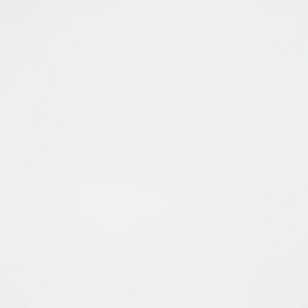 Экологичная стеновая панель DELINIA белая МДФ 300х60 см 85342847 STLM-0061991