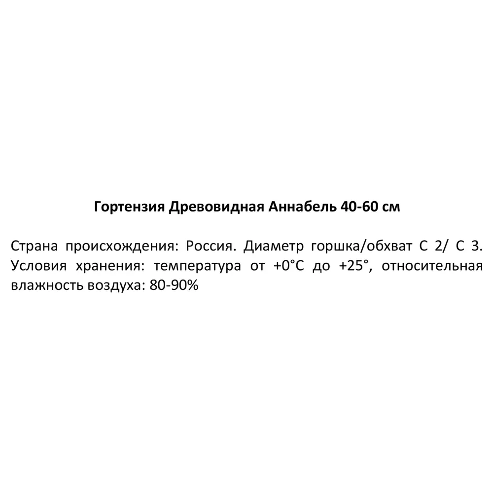Гортензия древовидная Аннабель ø19 см h40-60 см 85087591 STLM-2127897 Santreyd  - Вид №2