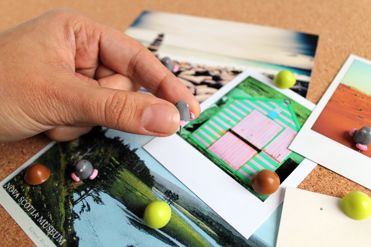 Набор канцелярских иголок Mole SUCK UK SKPINMOLE1 - Вид №1