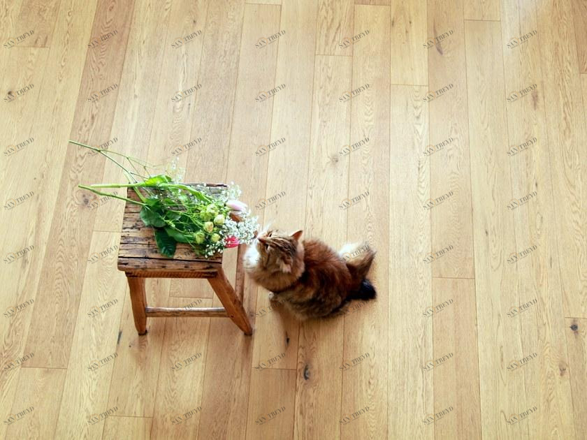 Bruno Parquet Готовый дубовый паркет Comfort sun-id-1369144