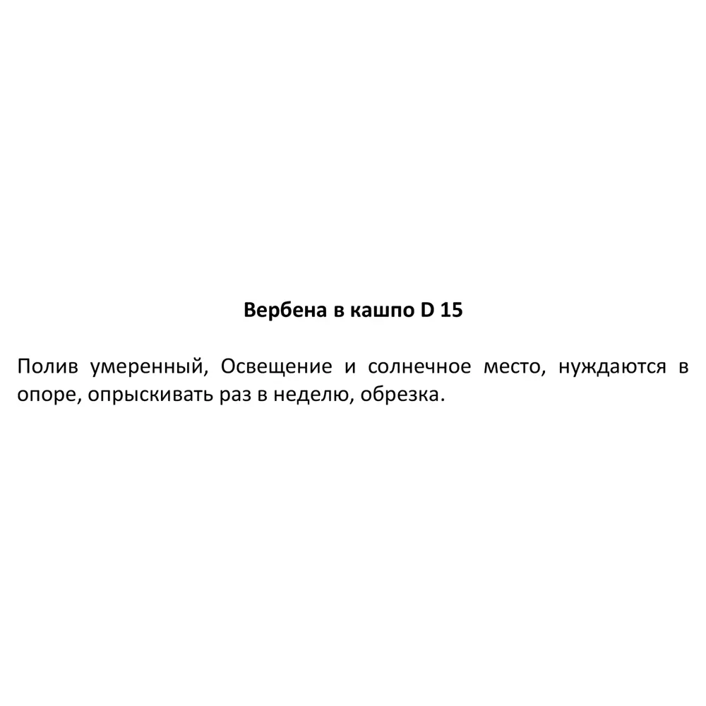Вербена в кашпо ø15 h25 см 83248474 STLM-2028289 Santreyd  - Вид №4