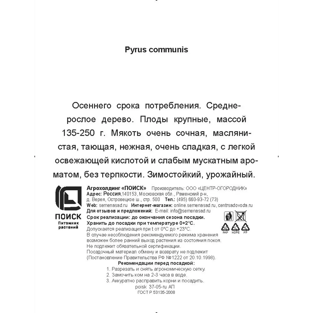 Груша обыкновенная Осенняя Яковлева h200 см Поиск Инвест 84399307 STLM-2147656 Santreyd  - Вид №2