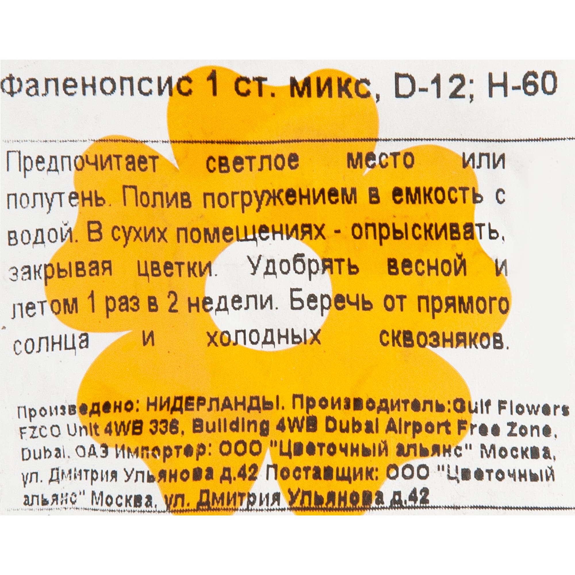 82548556 Орхидея Фаленопсис микс 1 стебель ø12 h60 см Santreyd  - Вид №2