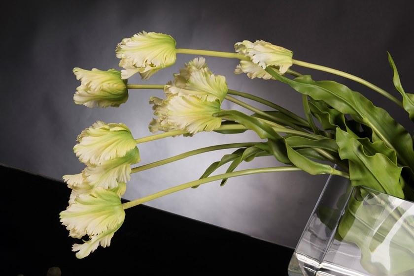 VGnewtrend Искусственное растение Eternity 1141706.61 - Вид №2