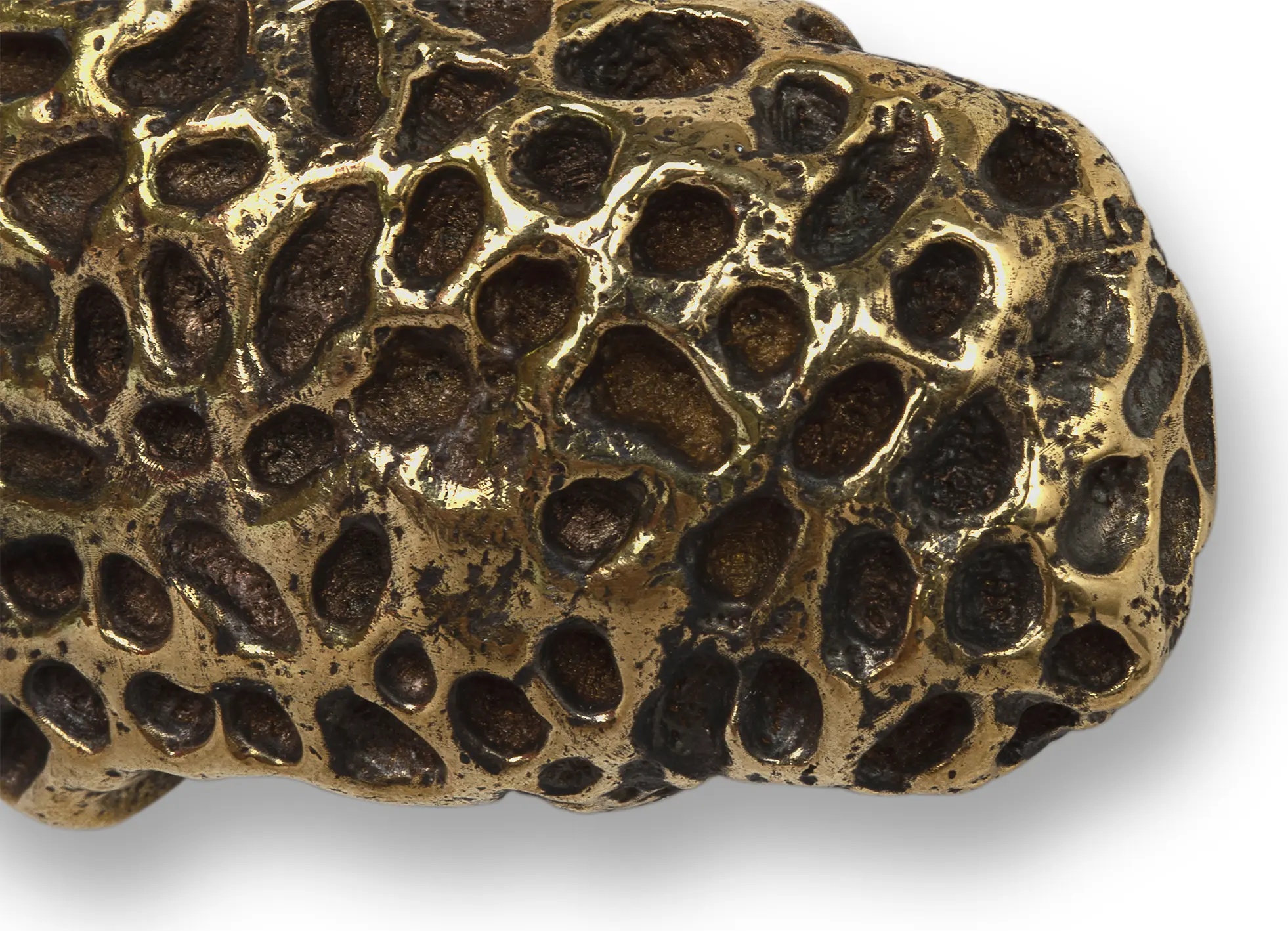 OC2019 Coralo PULLCAST Ocean Collection  - Вид №3