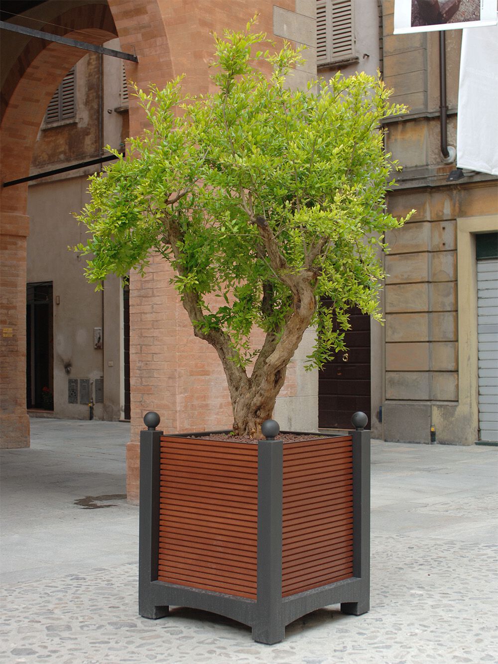 Квадратный плантатор Fi.Ma Реджио ARCH-00043049 - Вид №1