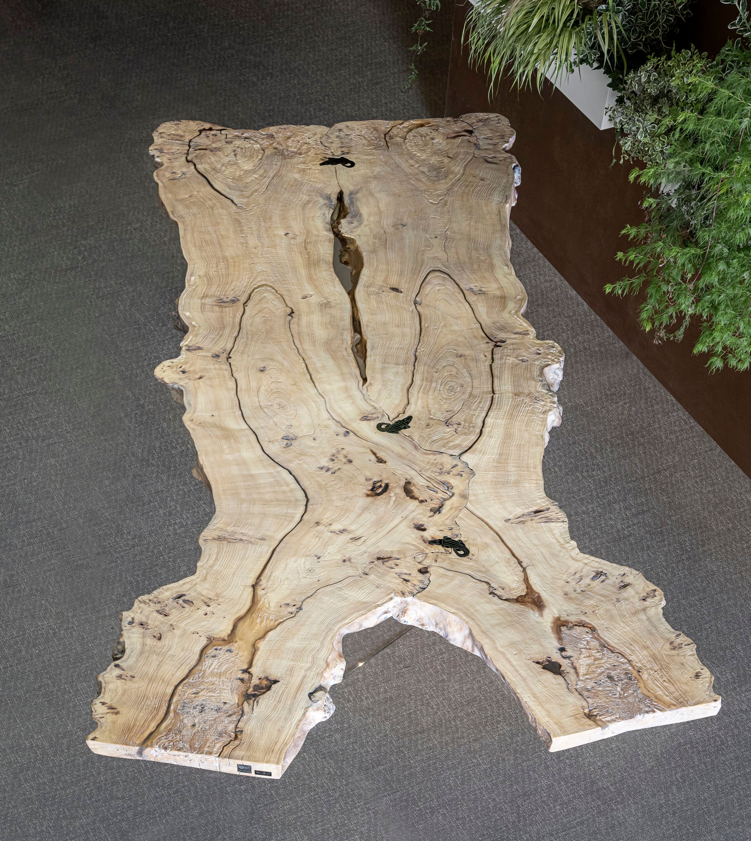 Обеденный стол из дерева и стекла Bizzotto Italia ARCH-00082149 - Вид №8