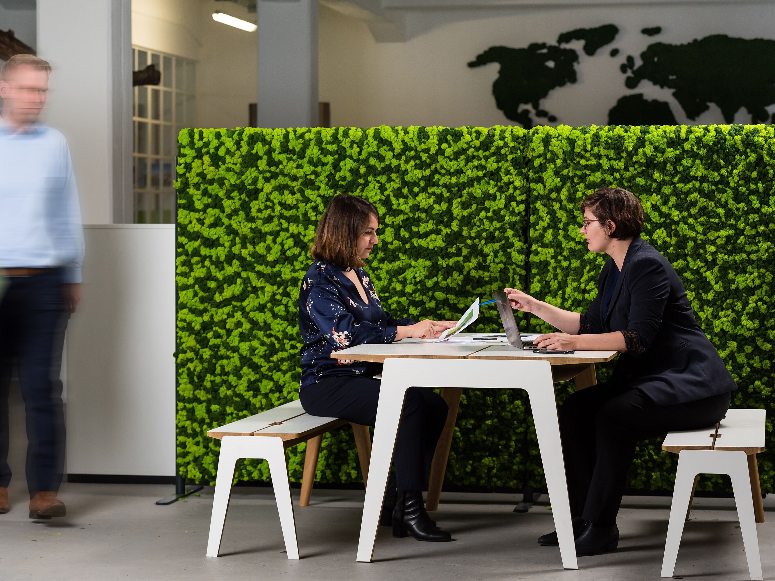 Акустическая подвесная / настенная панель из мха Freund GmbH ARCH-00031241 - Вид №3