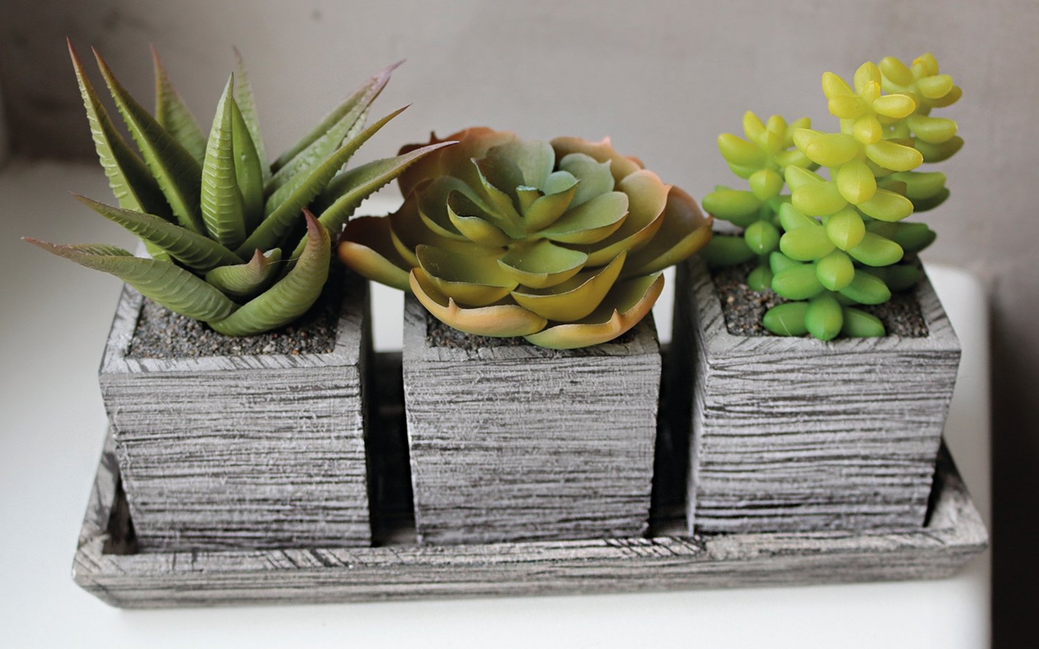 6453 883 a3 Пластиковый микс суккулентов, 3 штуки на миске, 19 x 7 x 11 см, зеленый H-andreas  - Вид №7