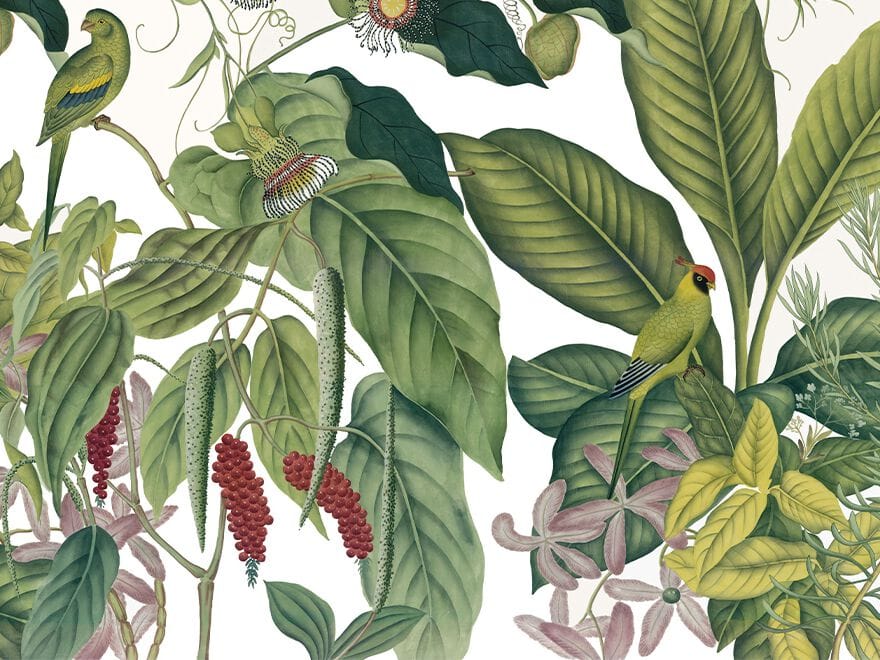 Обои с пейзажами Ressource Ananbô ARCH-00143166