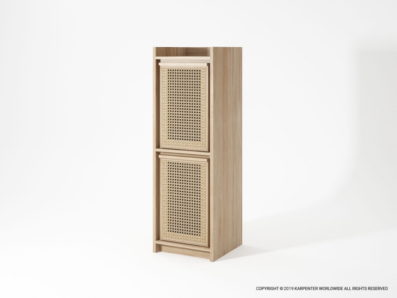 570_1159 Шкаф с 2 дверцами Karpenter ROOTS - Вид №1