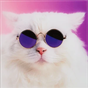 Картина на стекле "Модный кот" 30x30 см 82882467 STLM-2180479