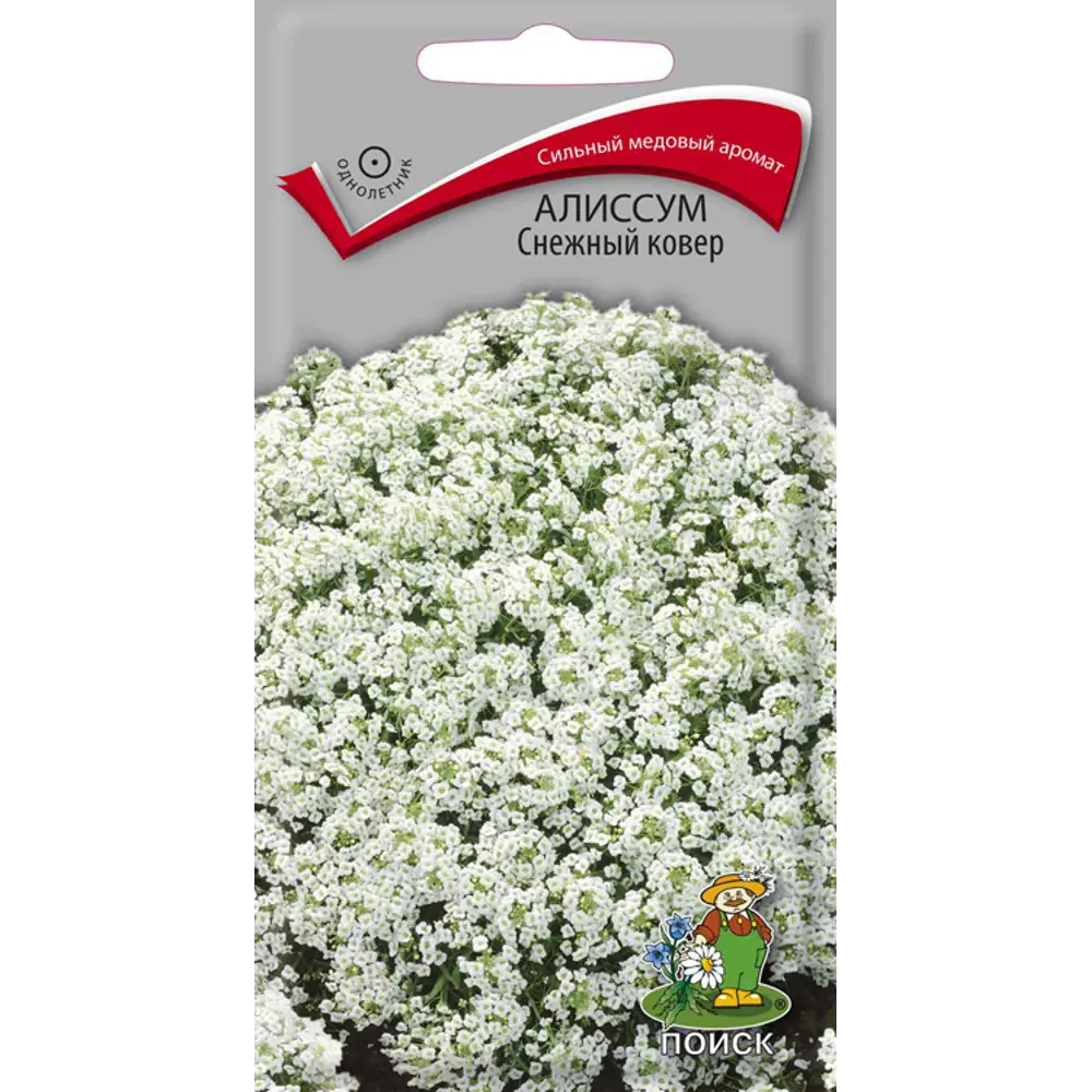 Семена цветов Поиск алиссум Снежный ковер 86217893 STLM-2081762 