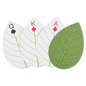 HB24 Колода карт huckleberry leaf Kikkerland