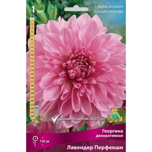 Георгина декоративная Лавендер Перфекшн луковица I 83593793 STLM-2183453