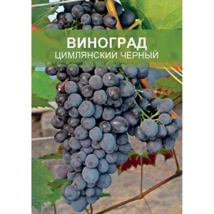 Виноград Цимлянский черный ø15 h50 см 85670465 STLM-2015177