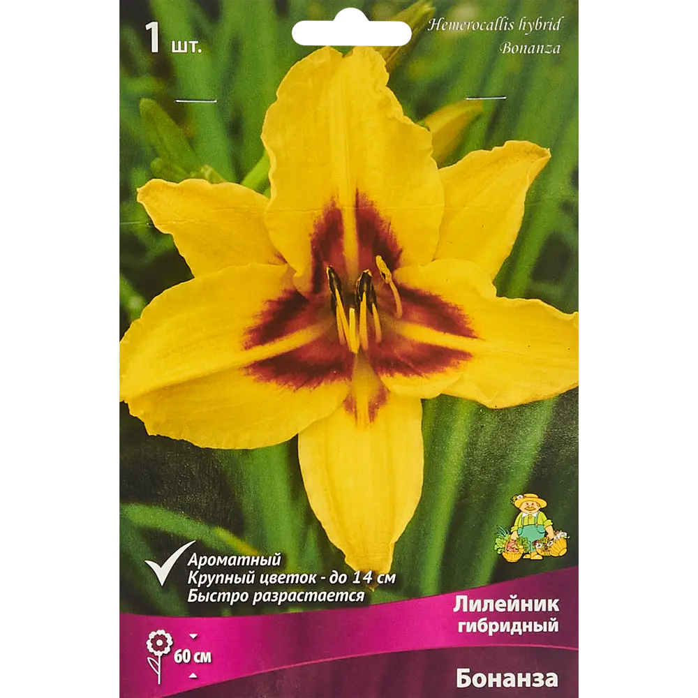 Лилейник Бонанза ПОИСК - яркий многолетник для солнечного сада 86410473 STLM-1577099