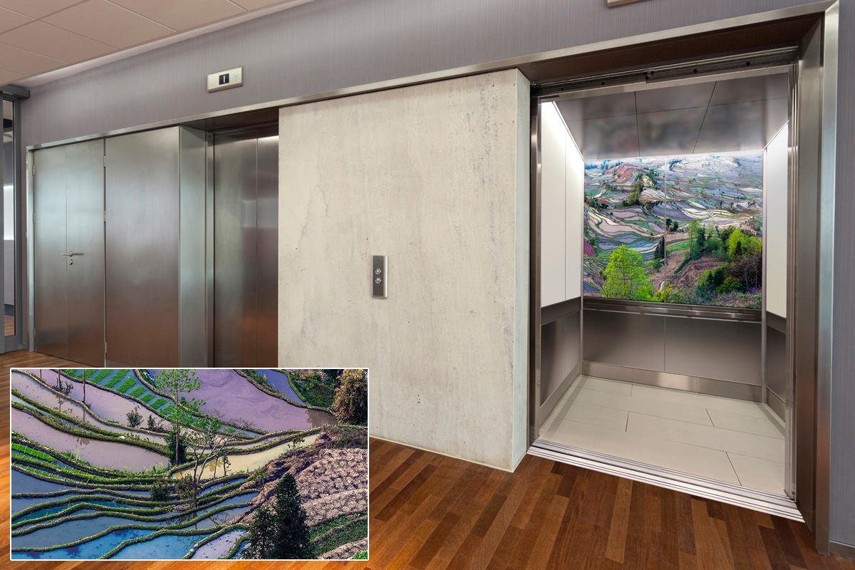 FSRT378 Бокал Vivispectra zoom с прослойками цитрусовых, романеско и капусты Forms-surfaces  - Вид №19